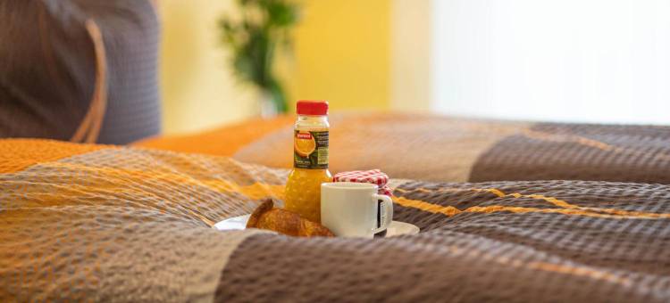 霍尔安斯塔酒店(Anstatthotel Horw - App Self-Check-IN)图片