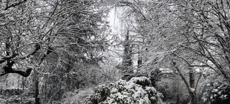 普莱奇酒店(Au Plech)图片