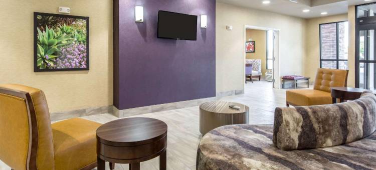 舒适套房酒店(Comfort Inn & Suites)图片