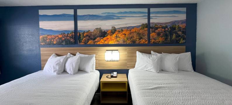 温德姆戴斯酒店夏洛特大学(Days Inn by Wyndham Charlotte University)图片