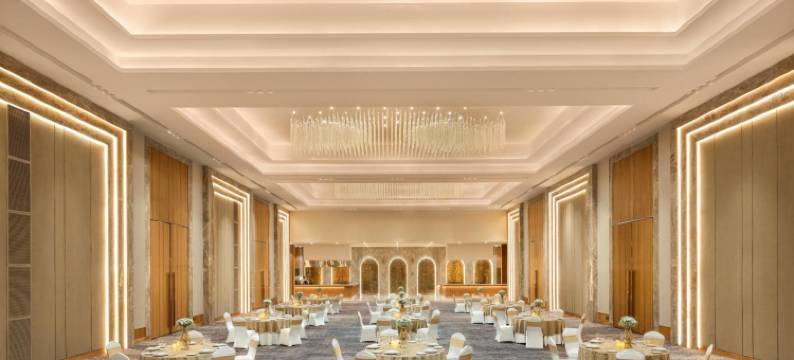 德里 MG 路 丽笙酒店(Radisson Hotel Delhi MG Road)图片