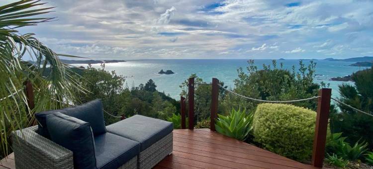特恩加埃湾豪华山坡别墅-静居(The Retreat - Luxury Hillside Villa at Te Ngaere Bay)图片