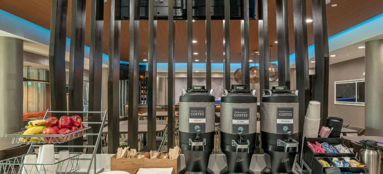 达拉斯中央高速公路SpringHill Suites酒店(SpringHill Suites Dallas Central Expressway)图片