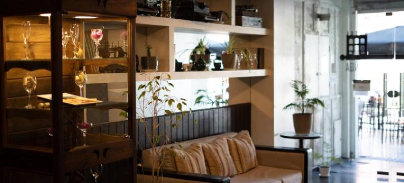努诺亚广场酒店(Hotel Plaza Ñuñoa)图片