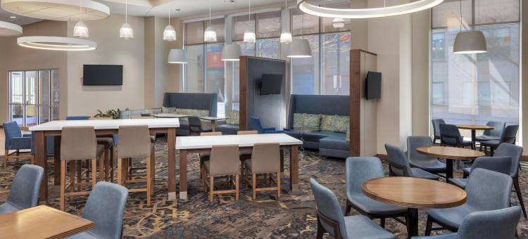 安娜堡市中心居家酒店(Residence Inn Ann Arbor Downtown)图片