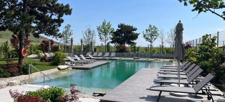 bsmart斯皮策贝格酒店(Hotel Spitzerberg by b-Smart)图片