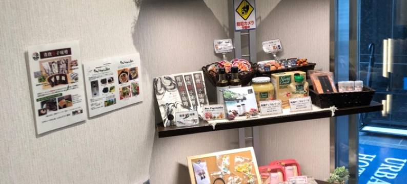 东京上野北千住城市酒店(Urbain Tokyo Ueno Kitasenju)图片