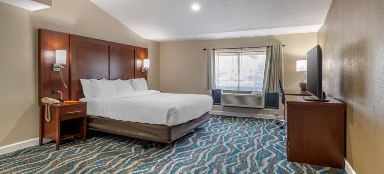 阿什维尔东-蓝岭山行车通道舒适酒店(Comfort Inn Asheville East-Blue Ridge Pkwy Access)图片