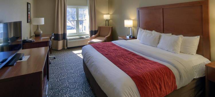 布伦瑞克舒适酒店(Comfort Inn Brunswick)图片