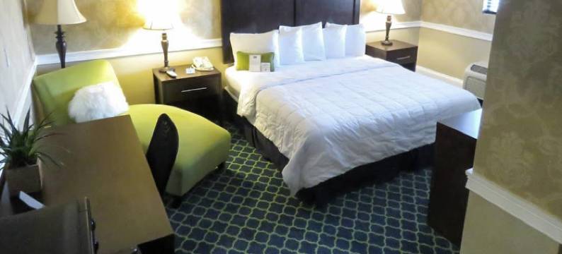 波士顿洛根机场罗德威旅馆(Rodeway Inn Logan International Airport)图片