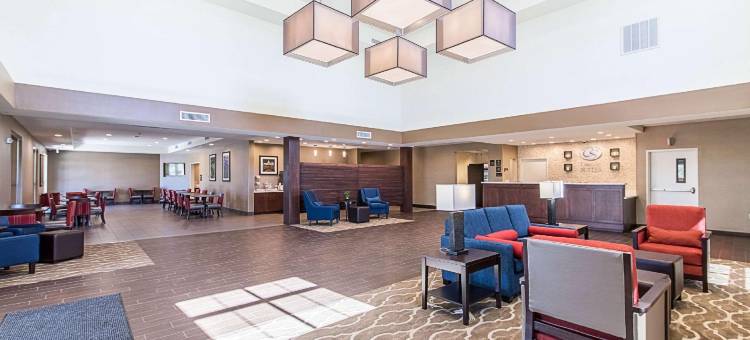 舒适套房酒店(Comfort Suites Kyle)图片