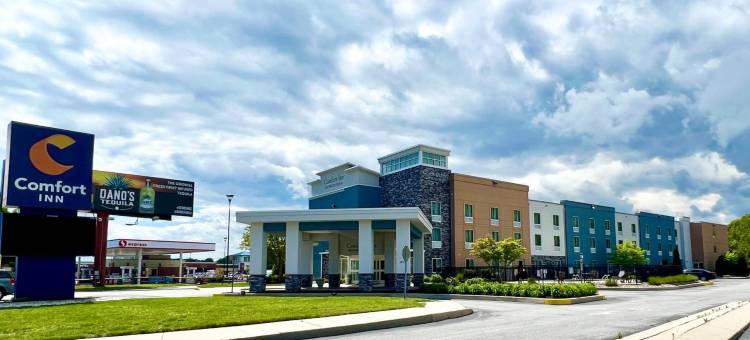 舒适酒店 - 雷赫波夫(Comfort Inn - Rehoboth)图片