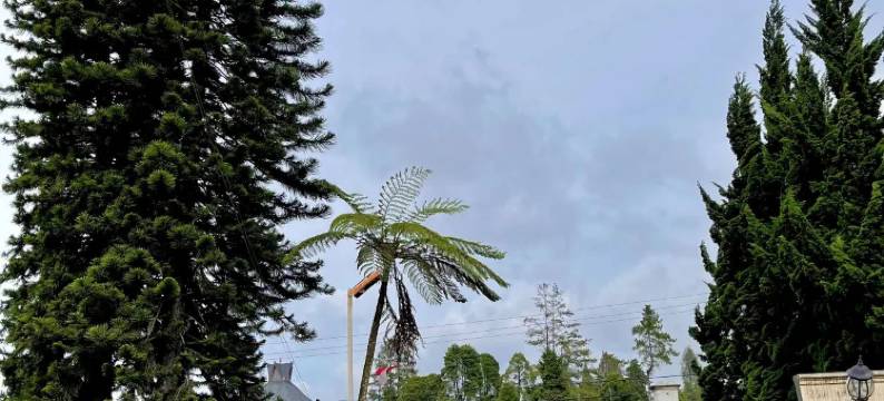 青蛙卡洛休息屋(Sapo Karo Rest House)图片