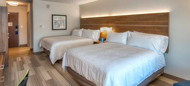 智选假日套房酒店林肯机场(Holiday Inn Express & Suites Lincoln Airport)图片