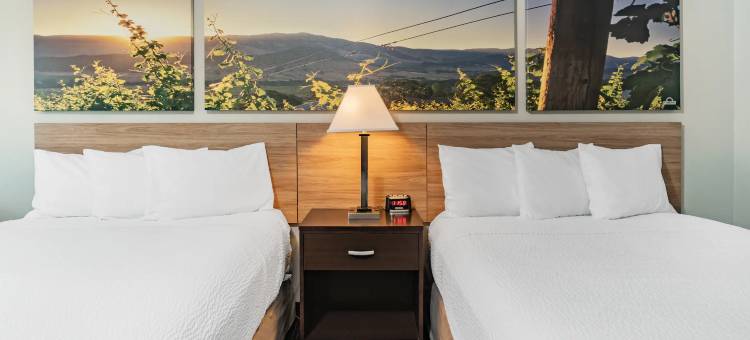 温尼马卡温德姆戴斯酒店(Days Inn by Wyndham Winnemucca)图片