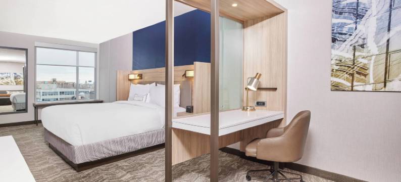 芝加哥唐人街 SpringHill Suites 酒店(SpringHill Suites Chicago Chinatown)图片