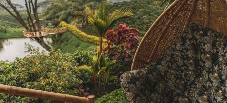 The Coffee Club Campestre图片