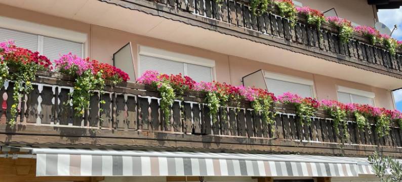 Gästehaus Trink B&B图片