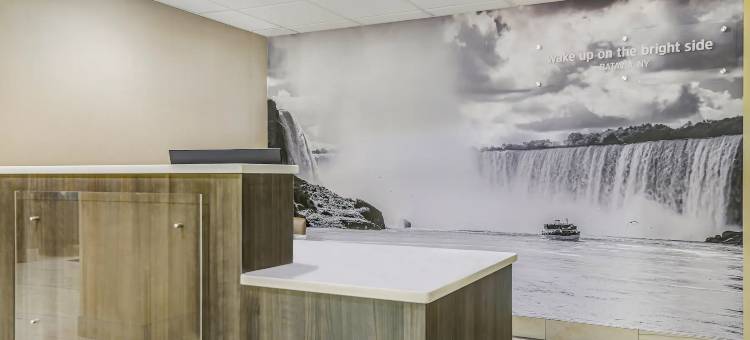 巴达维亚拉昆塔温德姆套房酒店(La Quinta Inn & Suites by Wyndham Batavia)图片