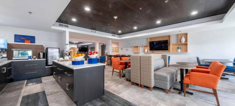 智选假日套房酒店圣彼得堡/丁威迪(Holiday Inn Express & Suites Petersburg/Dinwiddie)图片