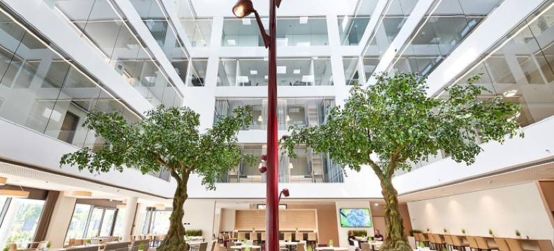 维温迪酒店(Hotel Vivendi)图片