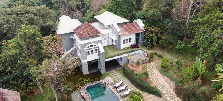 香料树Rajakumari(SpiceTree Rajakumari)图片