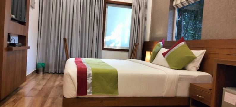 Benale International图片