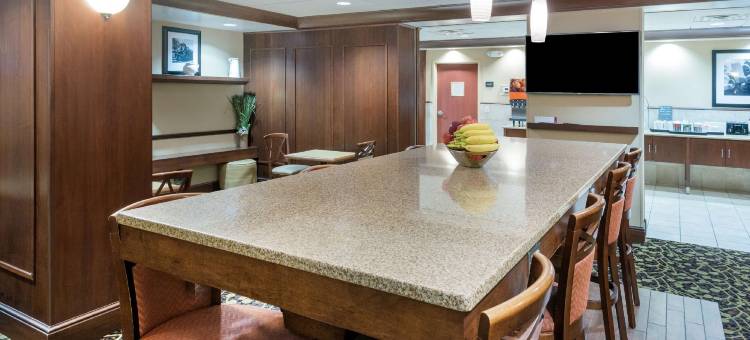 欢朋酒店罗阿诺克-霍林斯-I-81(Hampton Inn Roanoke/Hollins-I-81)图片