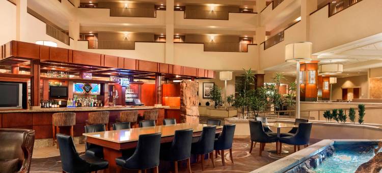 喜来登苏福尔斯酒店及会议中心(Sheraton Sioux Falls & Convention Center)图片