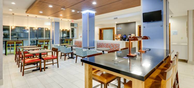 法默斯布兰奇智选假日套房酒店(Holiday Inn Express & Suites Dallas NW - Farmers Branch)图片