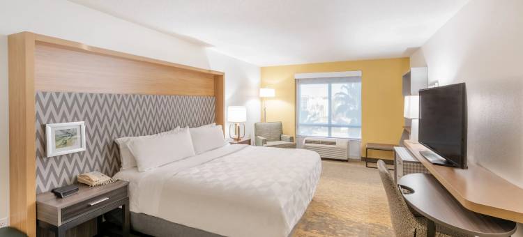 Holiday Inn & Suites 橘园- 井路。(Holiday Inn & Suites Orange Park - Wells RD.)图片