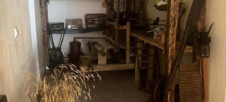 卡萨德奥赛鹏特杜瑞拉卡扎尼乡村民宿(Casa de Oaspeti Dunarea la Cazane)图片