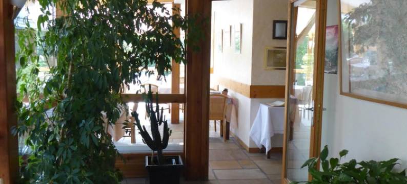 莱斯柴纳茨酒店(Hotel les Chenets)图片