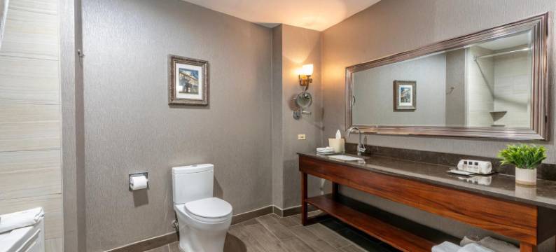 温德姆花园酒店-新奥尔良巴罗纳广场(Wyndham Garden Baronne Plaza New Orleans)图片