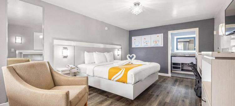 坦帕-布兰登品质酒店及会议中心(Quality Inn and Conference Center Tampa-Brandon)图片