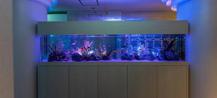 守山水之吻酒店(仅限成人)(Hotel Aqua Kiss Moriyama (Adult Only))图片