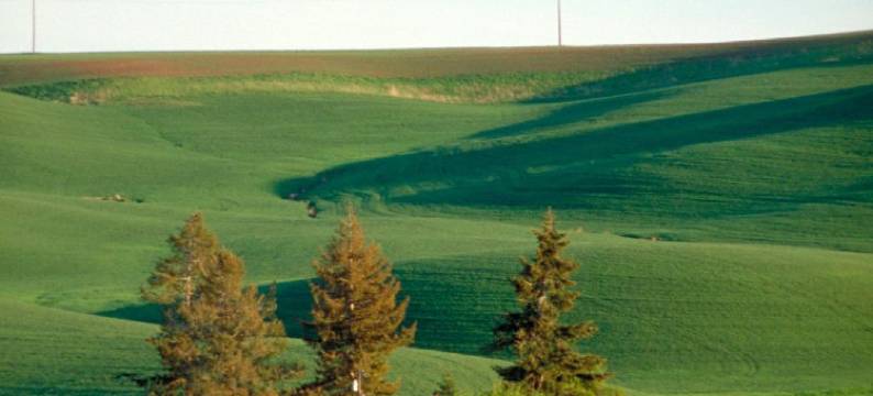 FairBridge Inn & Suites - 莫斯科/普尔曼(FairBridge Inn & Suites – Moscow/Pullman)图片