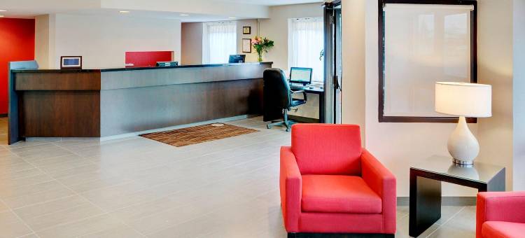 西埃德蒙顿舒适酒店(Comfort Inn West)图片