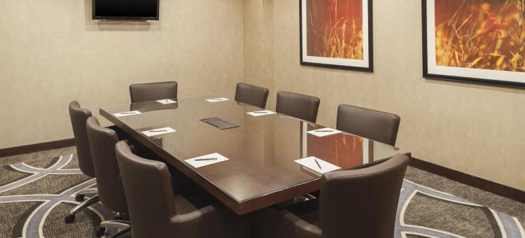 梅泰里新奥尔良喜来登酒店(Sheraton Metairie - New Orleans Hotel)图片