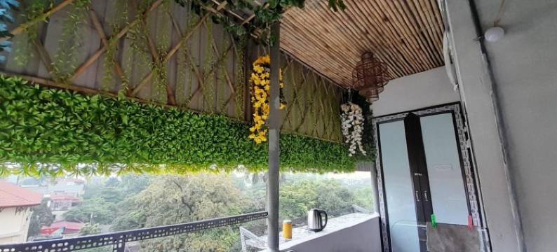 巴亭梦想家民宿(Ba Dinh le reveur Homestay)图片