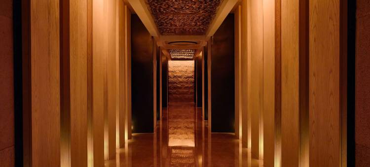 开罗西凯悦酒店(Hyatt Regency Cairo West)图片