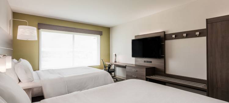韦兰智选假日套房酒店(Holiday Inn Express & Suites Welland)图片