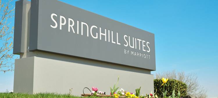 达拉斯路易斯维尔万豪SpringHill Suites 酒店(SpringHill Suites Dallas Lewisville)图片