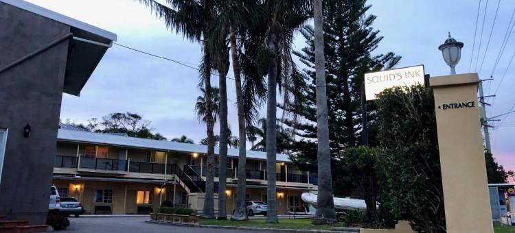 鱿汁汽车旅馆(Squid's Ink Motel)图片