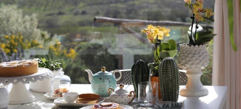 皮可罗玛琪农庄酒店(Agriturismo le Piccole Macìe)图片