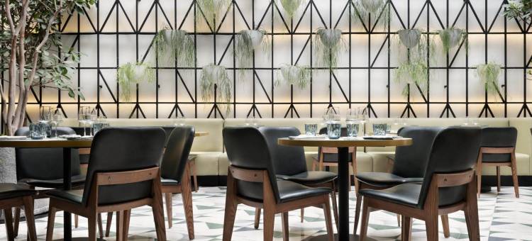 洲际集团-波兰科金普敦 Virgilio(Kimpton Virgilio Polanco by IHG)图片