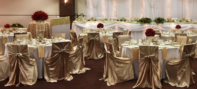 温尼伯南部福朋喜来登酒店(Four Points by Sheraton Winnipeg South)图片