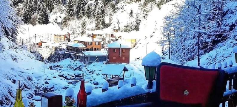 埃德尔伊利赞酒店(Ayder Elizan Dağ Evleri)图片