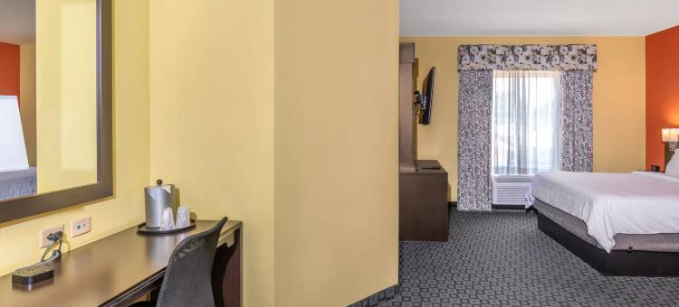Holiday Inn 花环(Holiday Inn DALLAS - GARLAND by IHG)图片