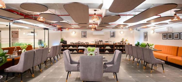 Saltstayz Premier Naraina 中央德里(SALTSTAYZ PREMIER - NARAINA, CENTRAL DELHI)图片